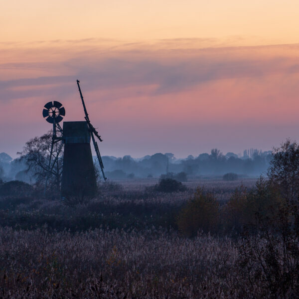 20-11-2022 - Turf Fen Mill-0162