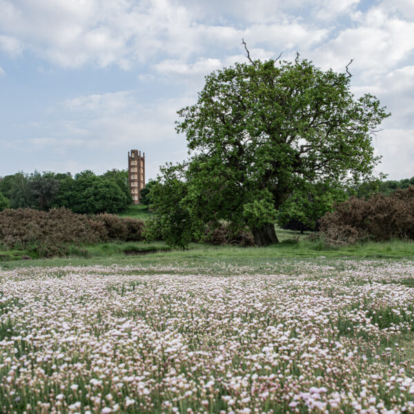 Efflorescence, Freston Tower