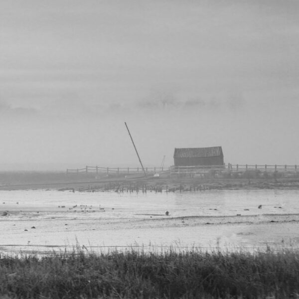 ShelterWoodbridge