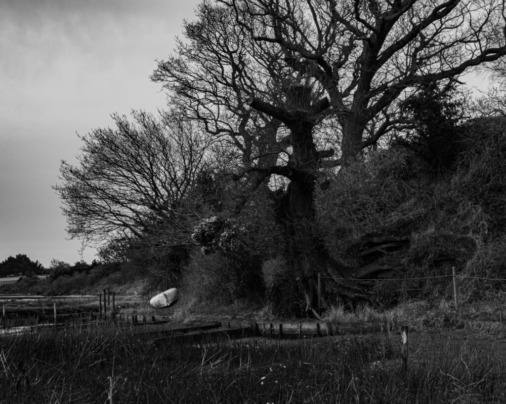 Riverbank, Iken Cliffs, Suffolk