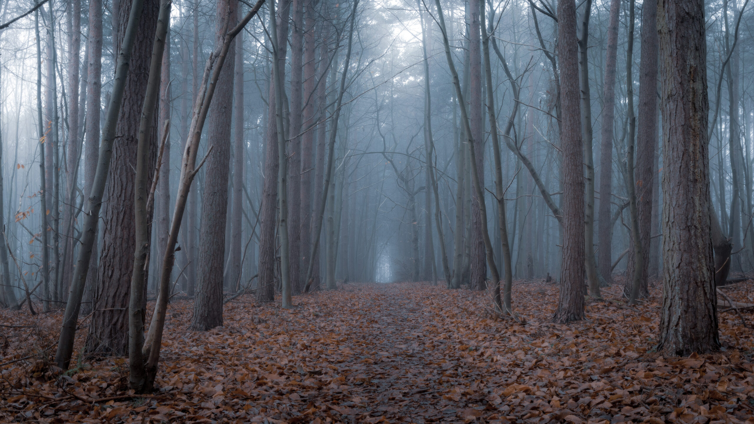 Ancient corridor, Suffolk