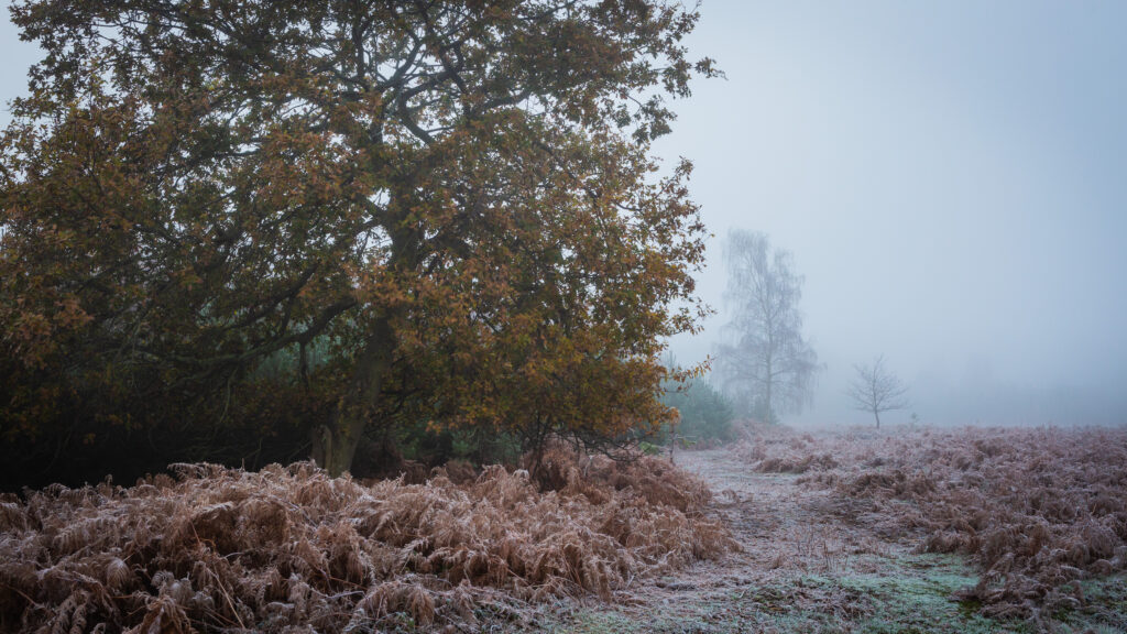 Satin, Suffolk