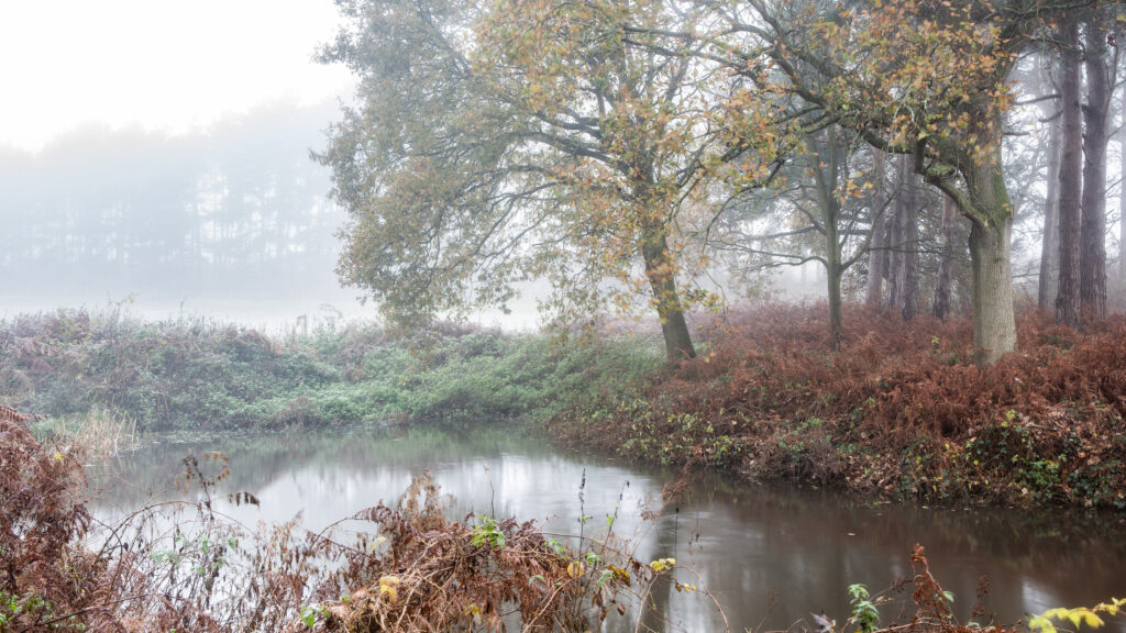 Nebulous, Suffolk