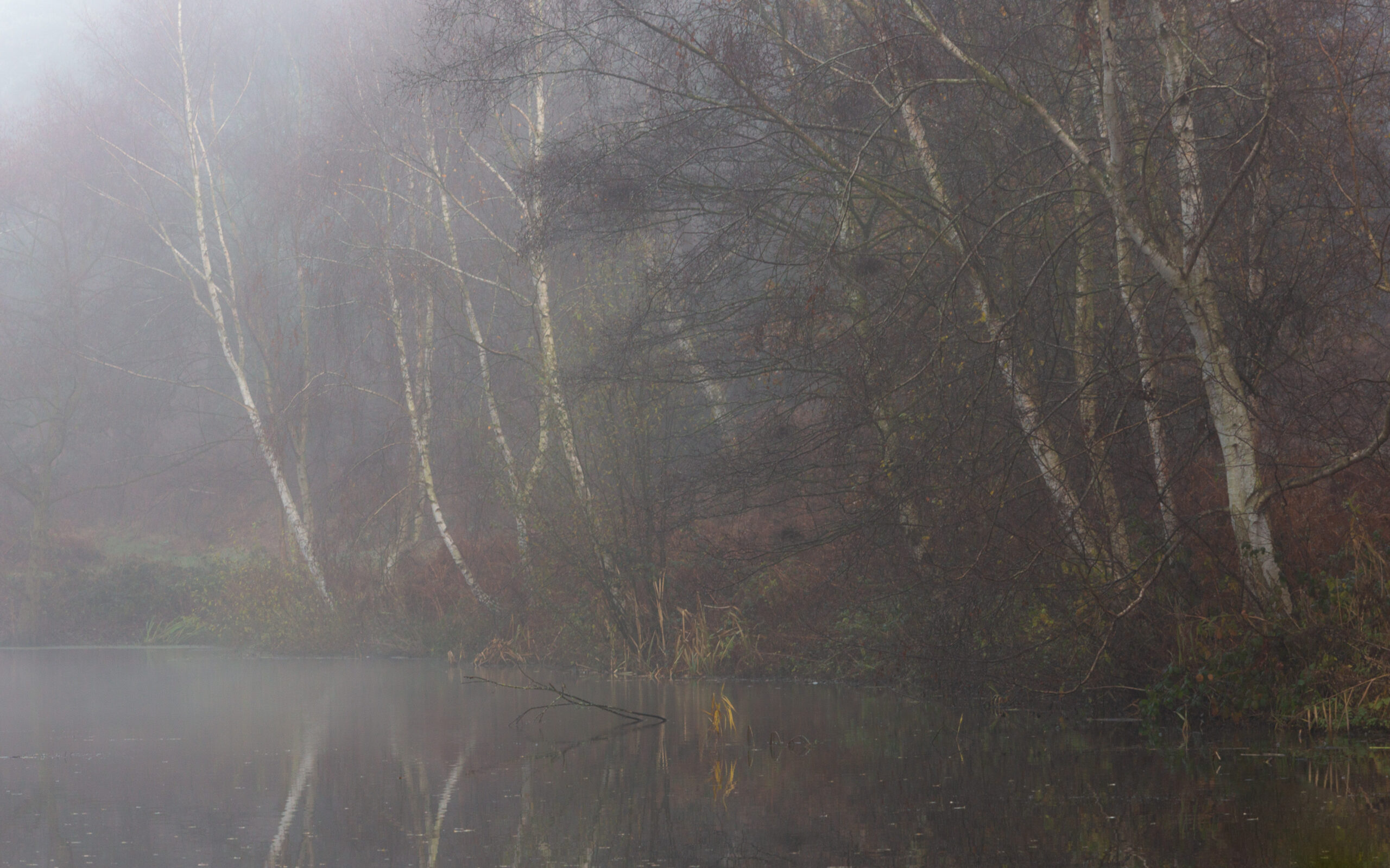 Strangers, Suffolk