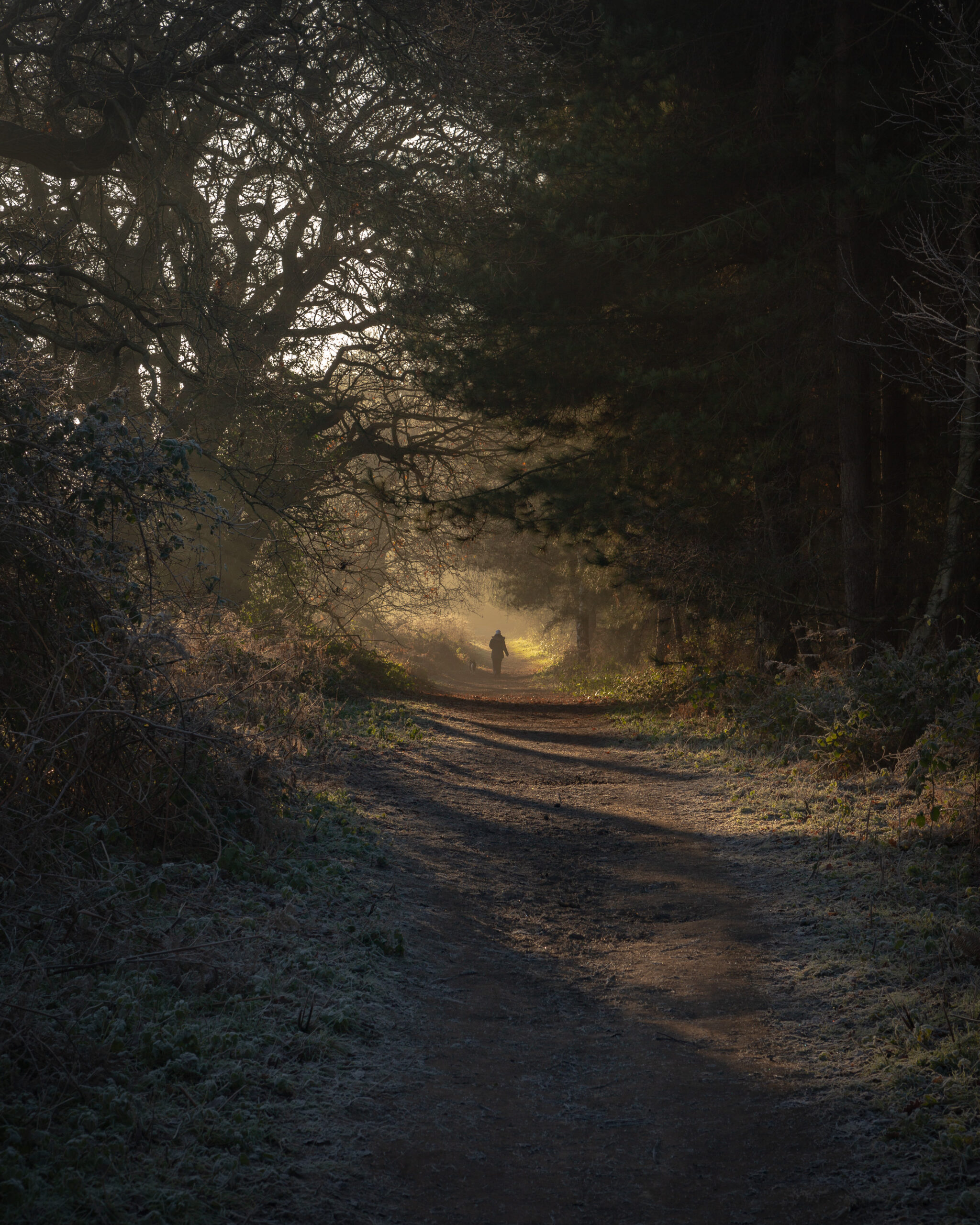 Pilgrimage, Suffolk