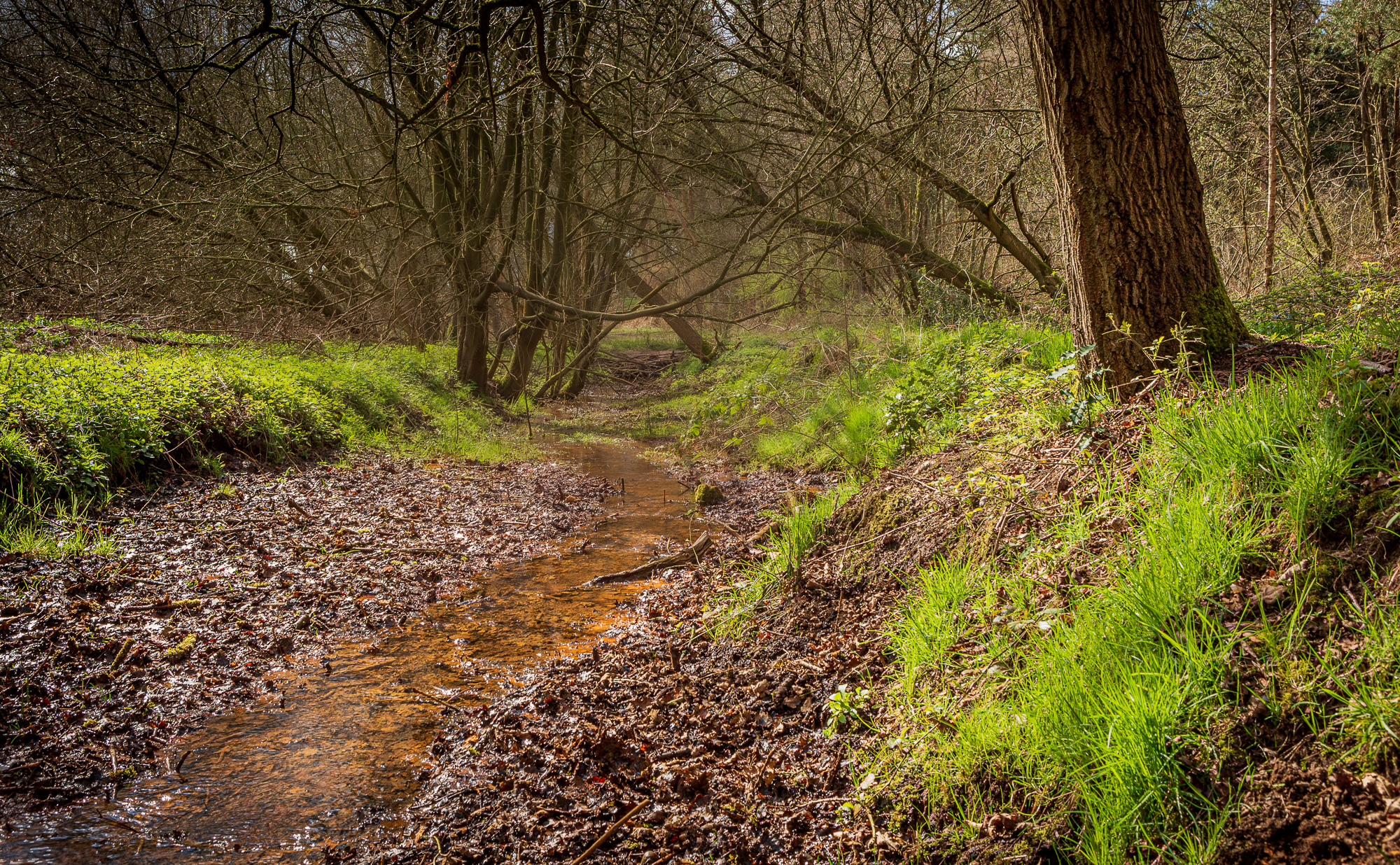 Lifeblood, Suffolk