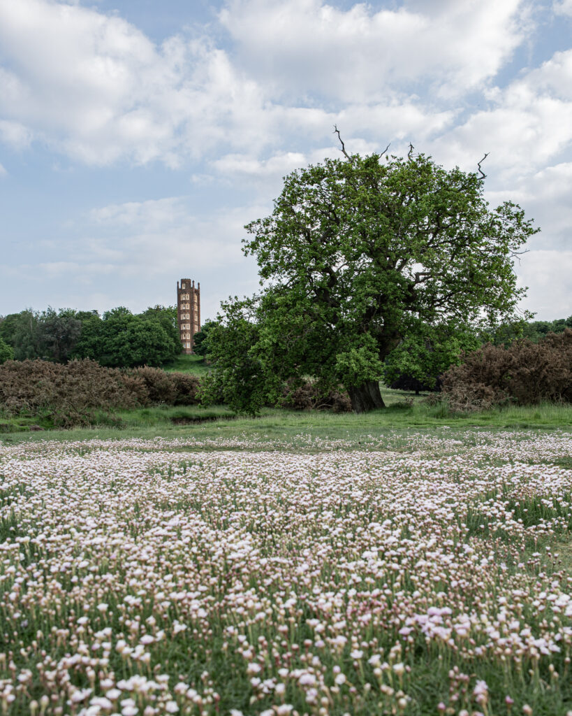 Efflorescence, Freston, Suffolk