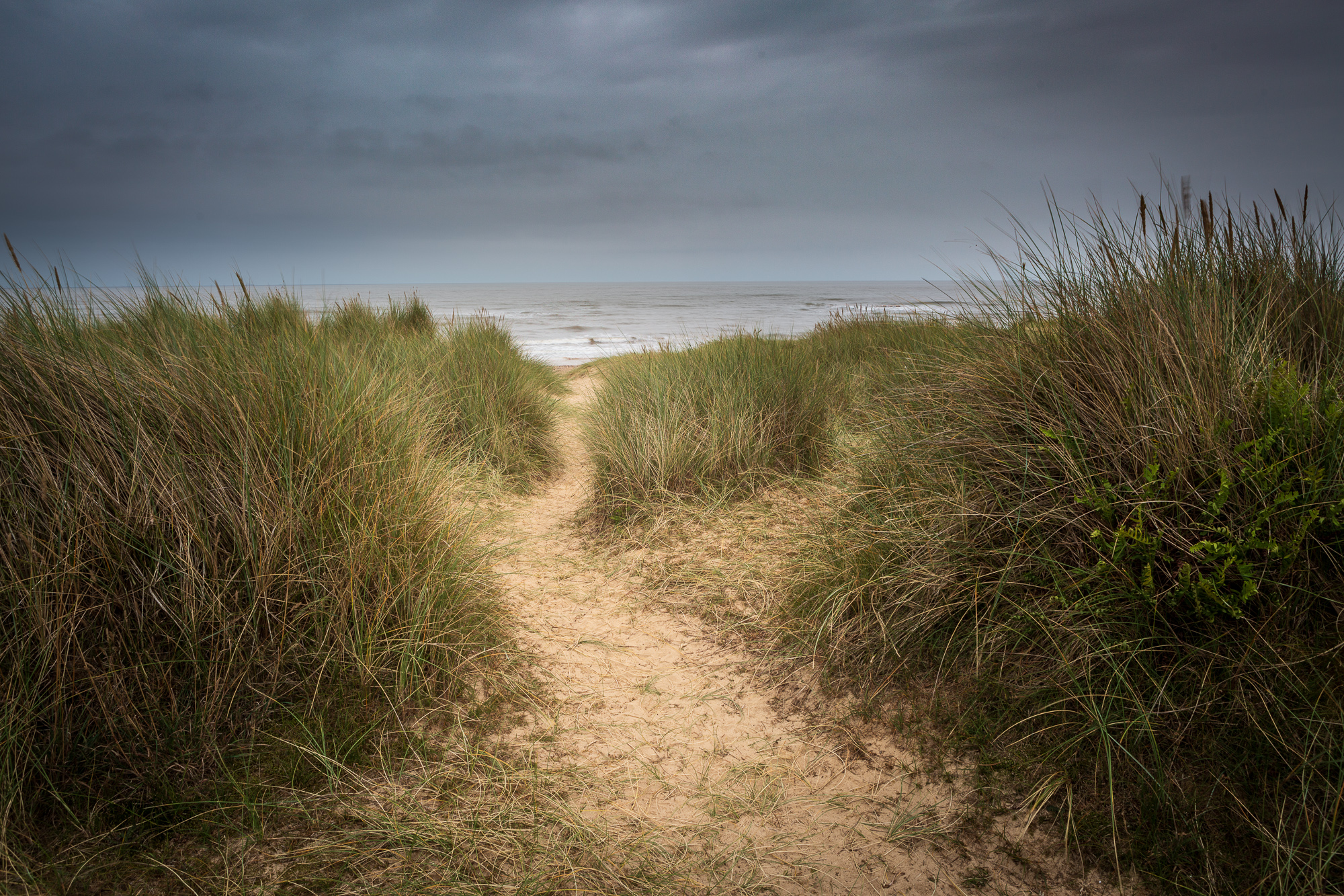 Inlet, Walberswick