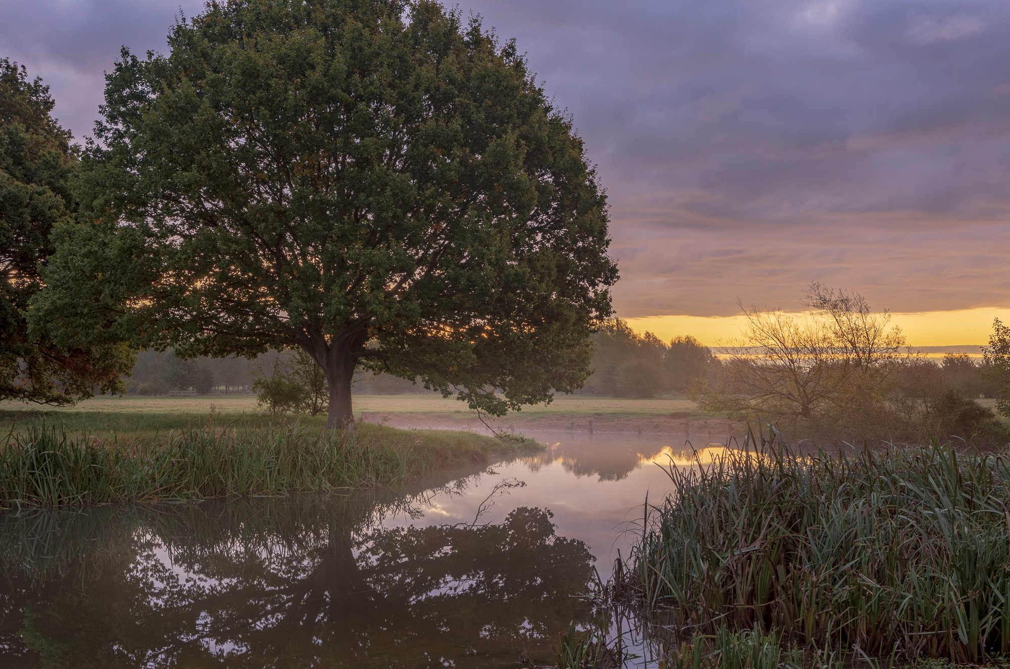 Ethereal glow, Dedham, Essex