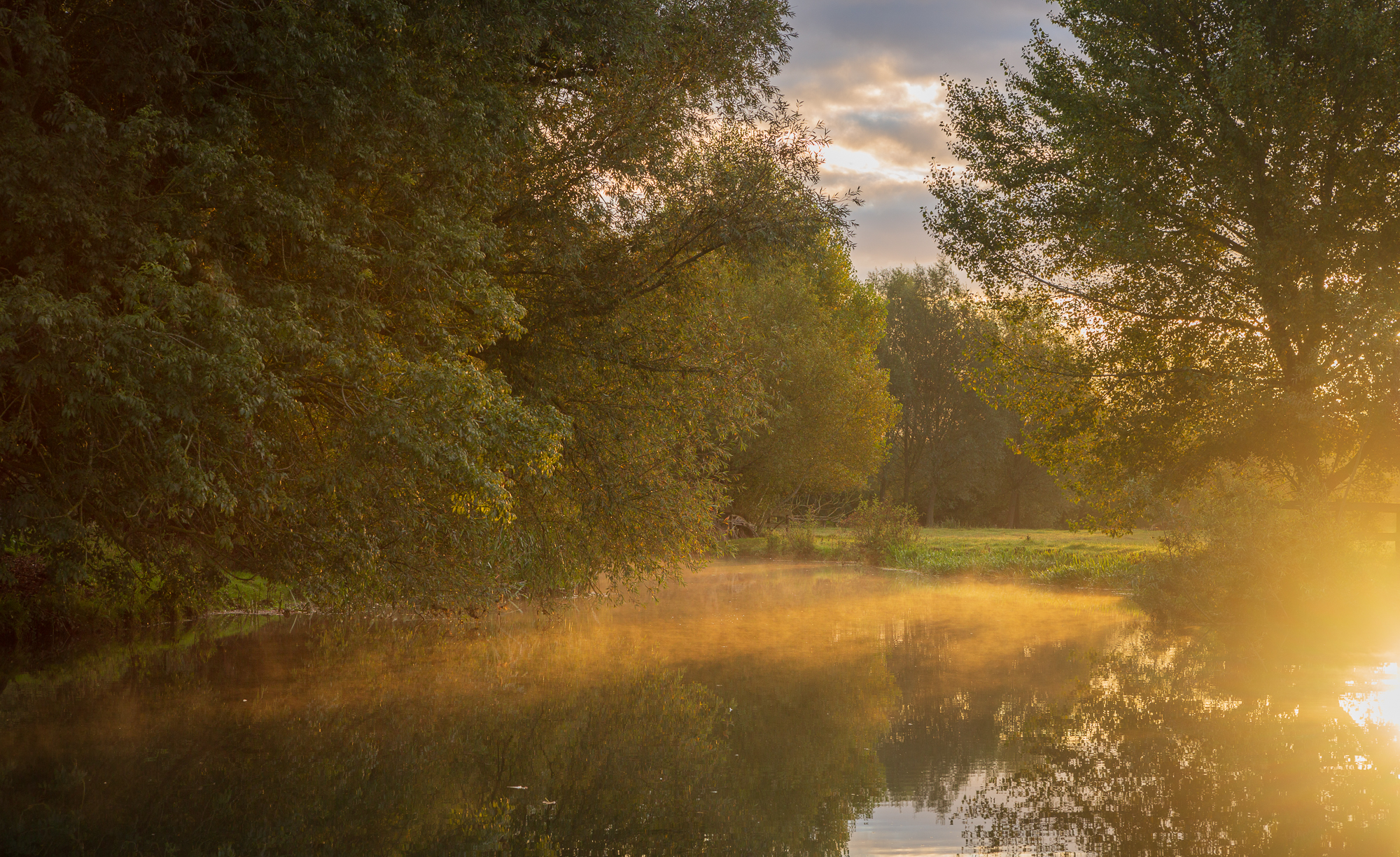 Golden Effulgence, Dedham, Essex