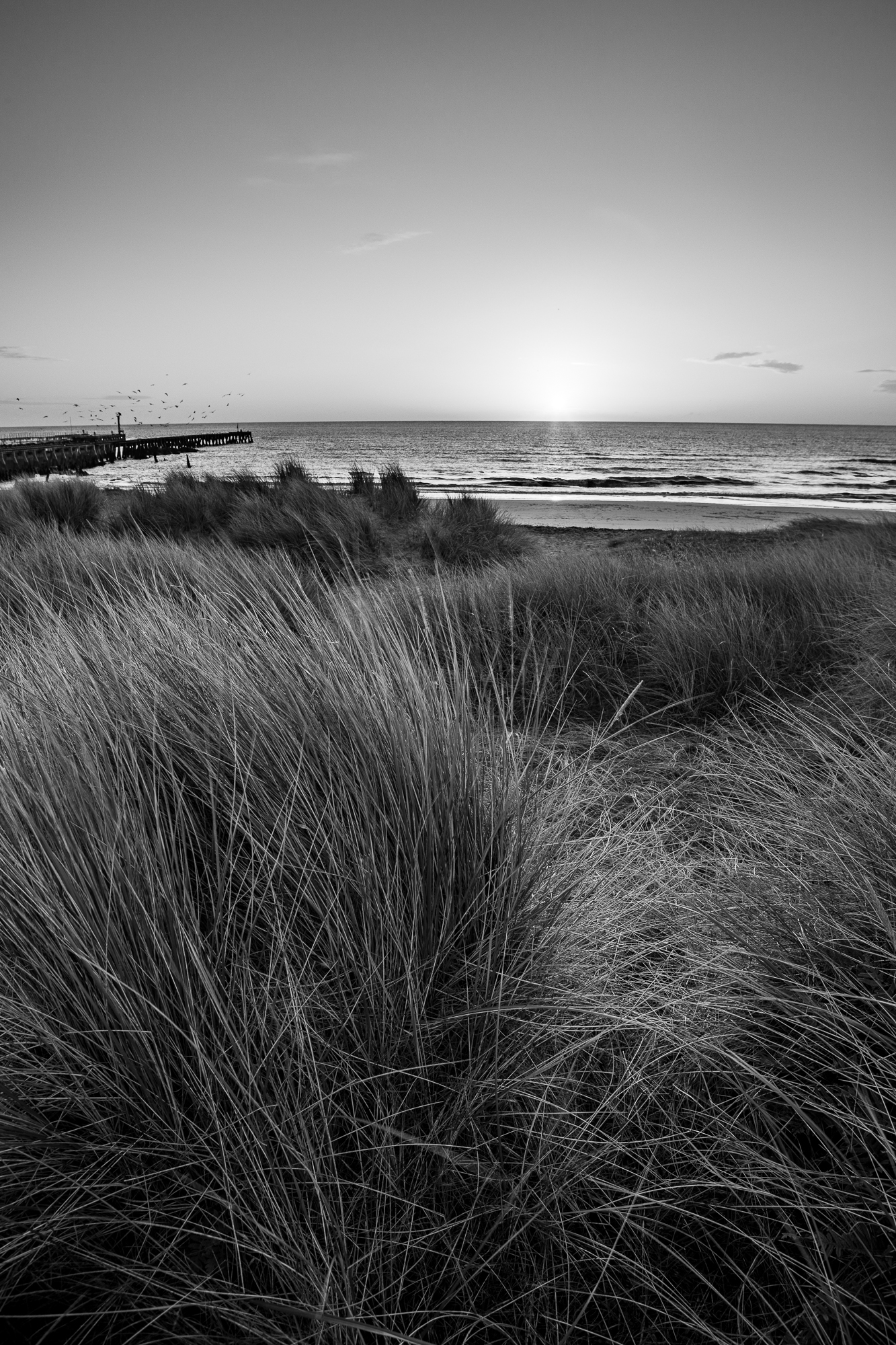 Dunes, Walberswick