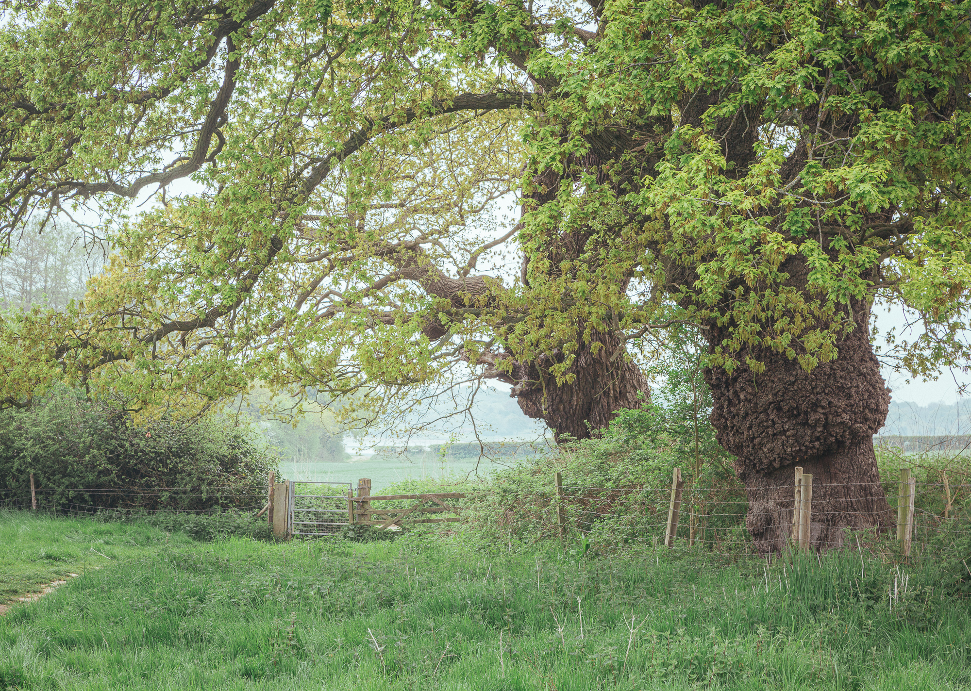 Gatekeepers, Suffolk