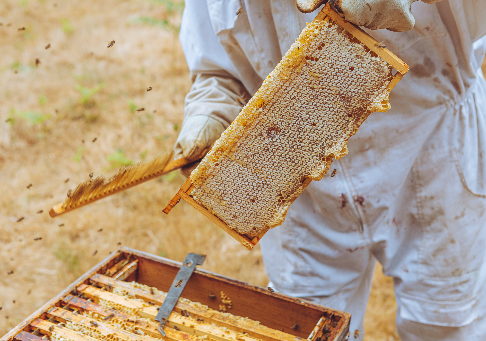 Hive - removing frames
