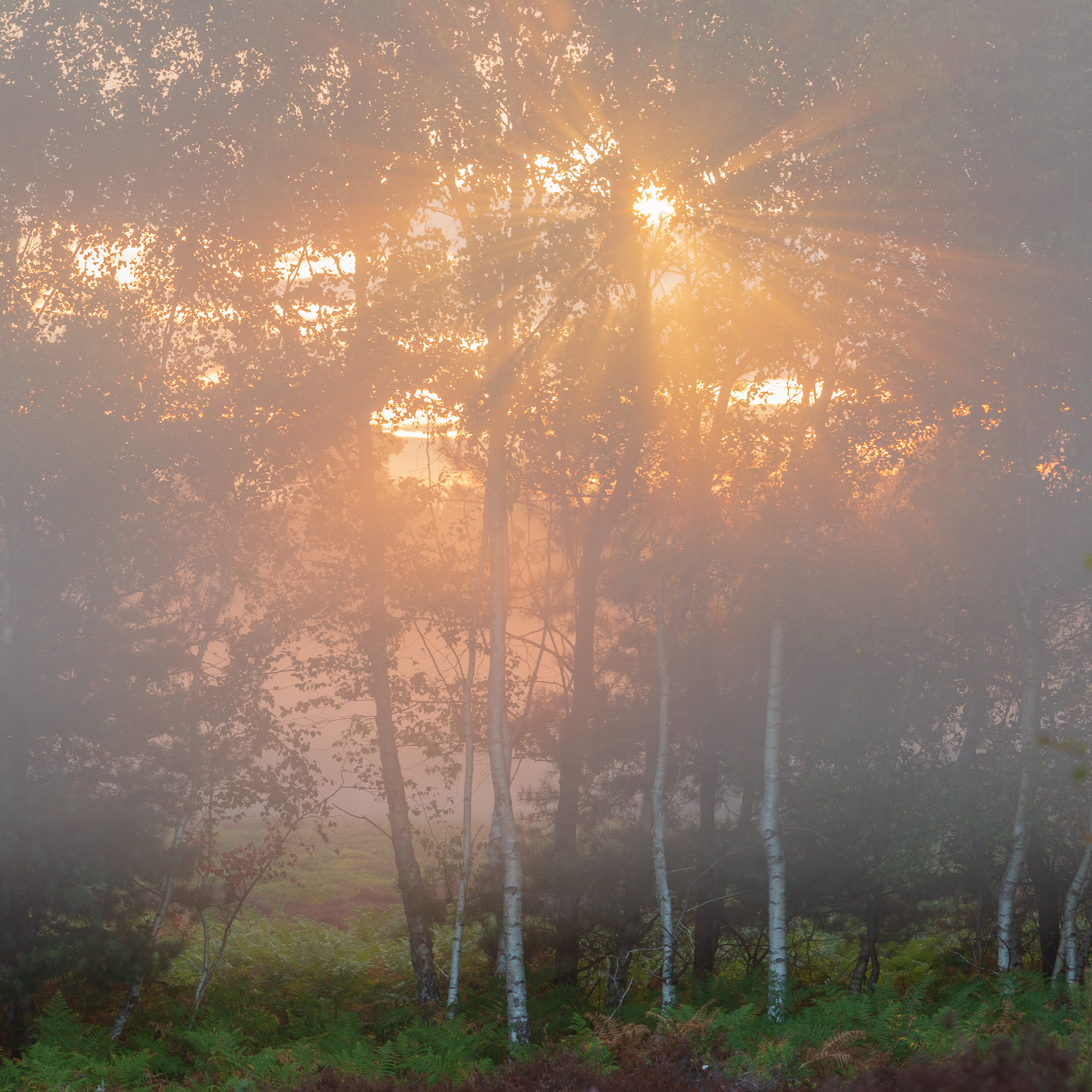 Breakthrough, Suffolk