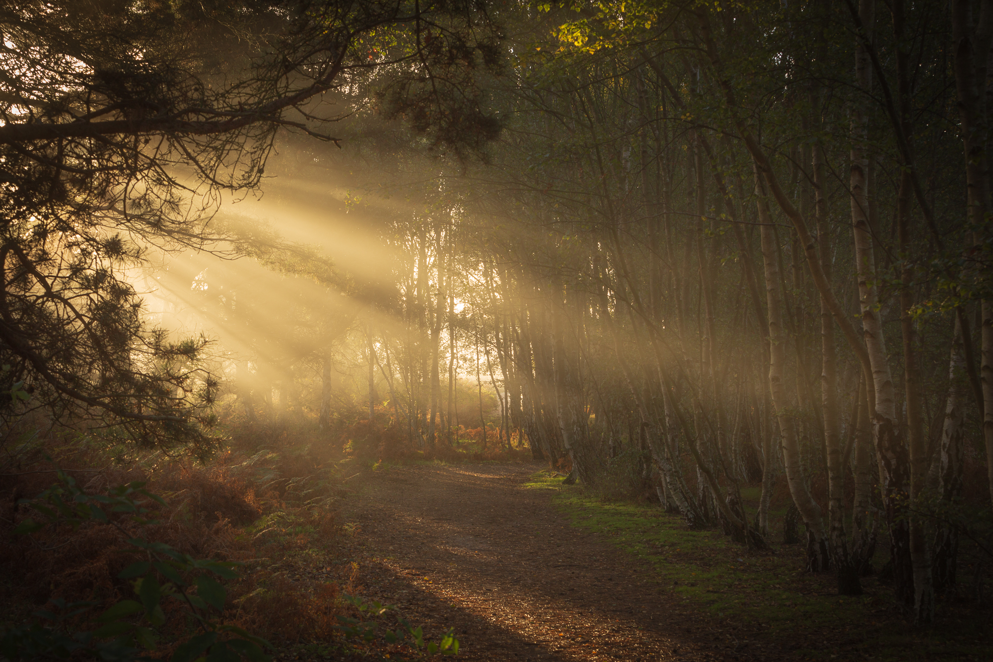 Marvel, Suffolk