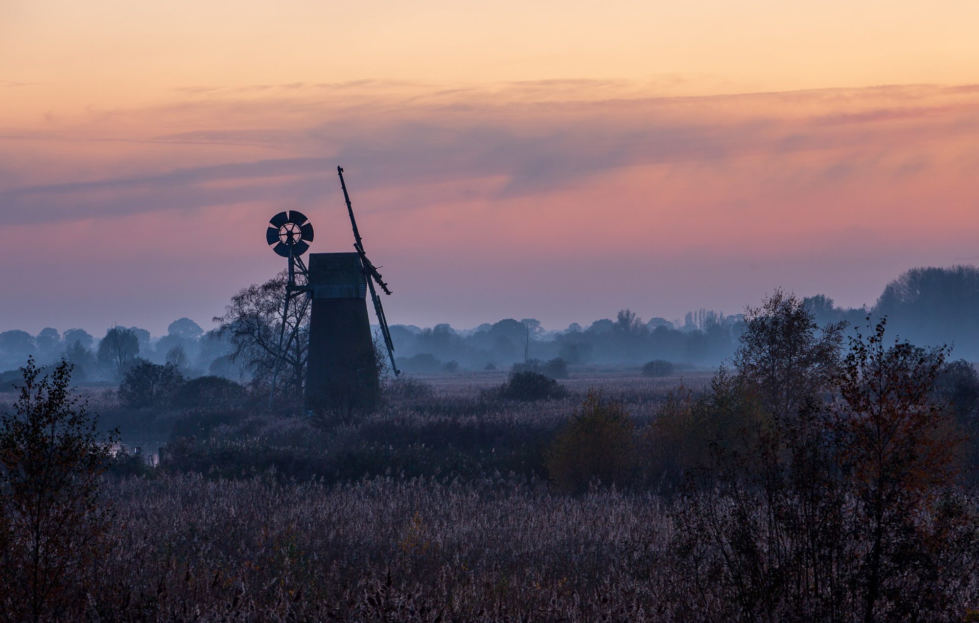 Crepuscular, Turf Fen Mill