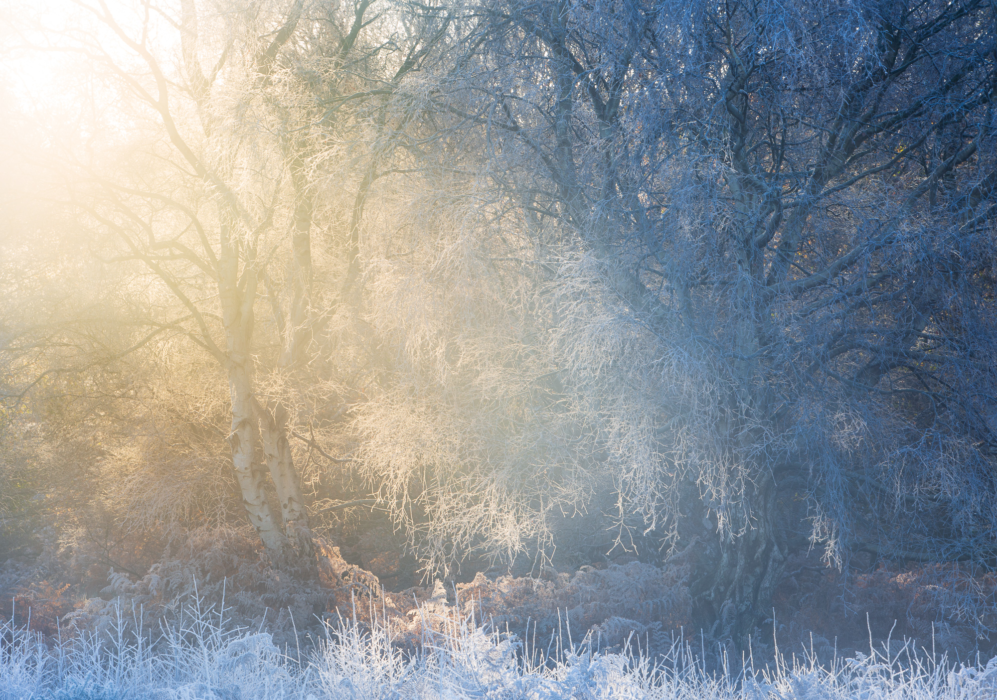 Celestial Light, Suffolk